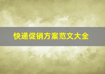 快递促销方案范文大全