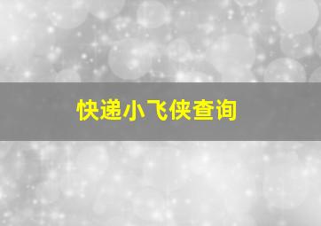 快递小飞侠查询