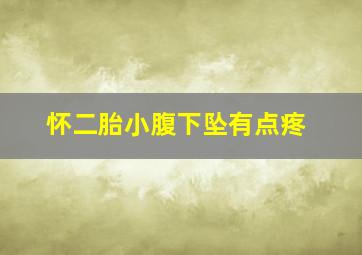 怀二胎小腹下坠有点疼