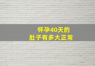 怀孕40天的肚子有多大正常