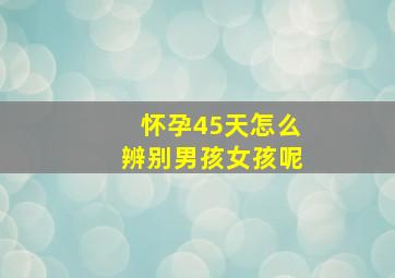 怀孕45天怎么辨别男孩女孩呢