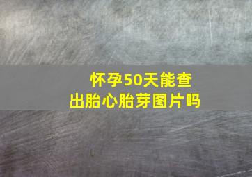 怀孕50天能查出胎心胎芽图片吗