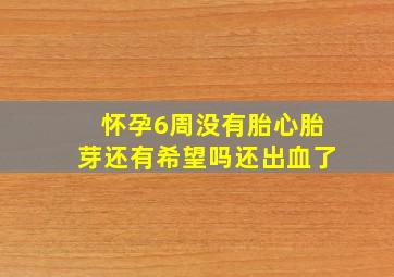 怀孕6周没有胎心胎芽还有希望吗还出血了