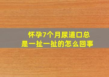 怀孕7个月尿道口总是一扯一扯的怎么回事