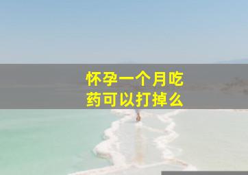 怀孕一个月吃药可以打掉么