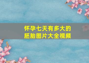 怀孕七天有多大的胚胎图片大全视频