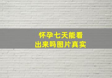 怀孕七天能看出来吗图片真实