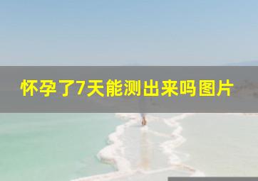 怀孕了7天能测出来吗图片