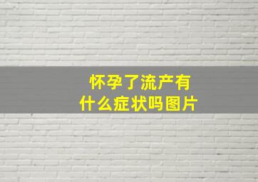 怀孕了流产有什么症状吗图片