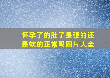 怀孕了的肚子是硬的还是软的正常吗图片大全