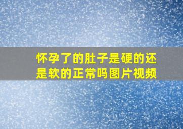 怀孕了的肚子是硬的还是软的正常吗图片视频