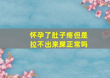 怀孕了肚子疼但是拉不出来屎正常吗