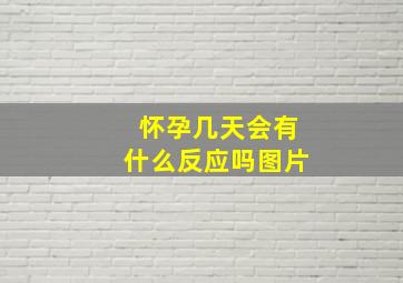 怀孕几天会有什么反应吗图片