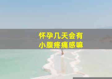 怀孕几天会有小腹疼痛感嘛