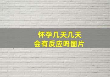 怀孕几天几天会有反应吗图片