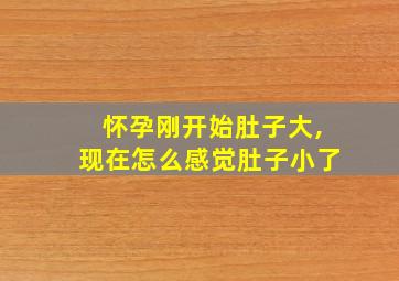 怀孕刚开始肚子大,现在怎么感觉肚子小了