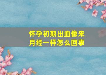 怀孕初期出血像来月经一样怎么回事