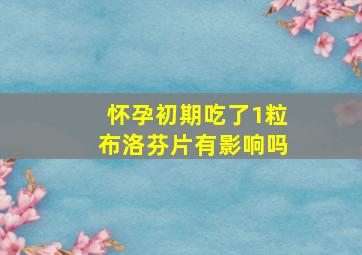 怀孕初期吃了1粒布洛芬片有影响吗