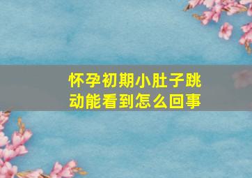 怀孕初期小肚子跳动能看到怎么回事