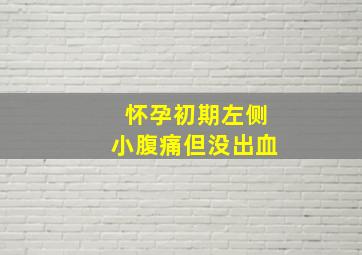 怀孕初期左侧小腹痛但没出血