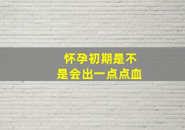 怀孕初期是不是会出一点点血