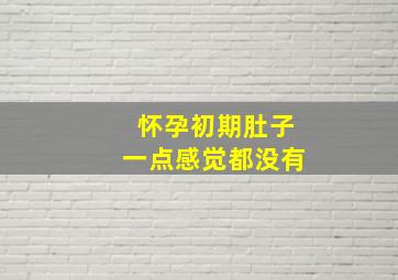 怀孕初期肚子一点感觉都没有