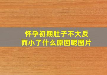 怀孕初期肚子不大反而小了什么原因呢图片