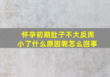 怀孕初期肚子不大反而小了什么原因呢怎么回事