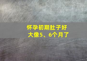 怀孕初期肚子好大像5、6个月了