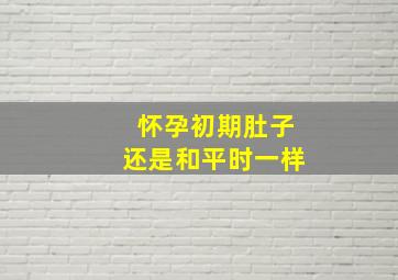 怀孕初期肚子还是和平时一样