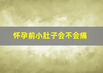 怀孕前小肚子会不会痛