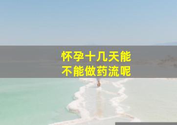 怀孕十几天能不能做药流呢