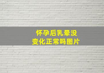 怀孕后乳晕没变化正常吗图片