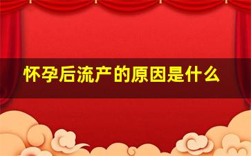 怀孕后流产的原因是什么