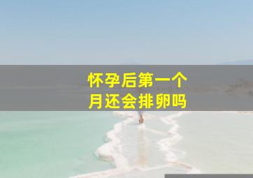 怀孕后第一个月还会排卵吗