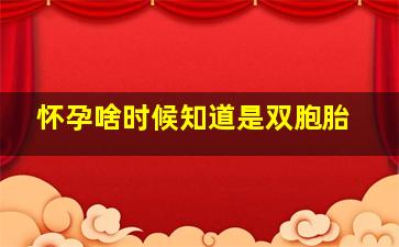 怀孕啥时候知道是双胞胎