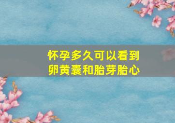 怀孕多久可以看到卵黄囊和胎芽胎心