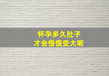 怀孕多久肚子才会慢慢变大呢