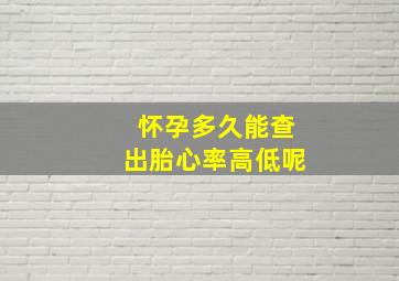 怀孕多久能查出胎心率高低呢