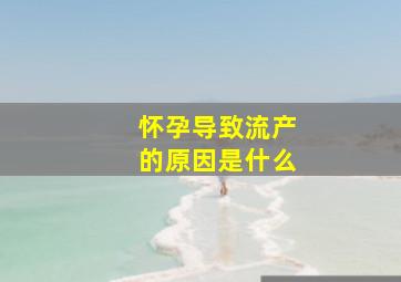 怀孕导致流产的原因是什么