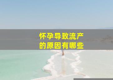 怀孕导致流产的原因有哪些