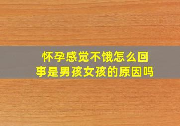 怀孕感觉不饿怎么回事是男孩女孩的原因吗