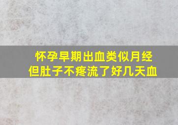 怀孕早期出血类似月经但肚子不疼流了好几天血