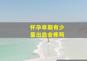 怀孕早期有少量出血会疼吗