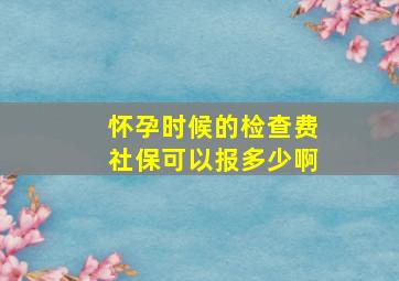 怀孕时候的检查费社保可以报多少啊