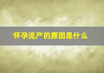 怀孕流产的原因是什么