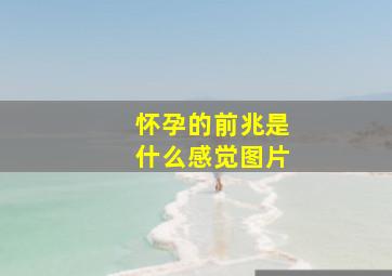 怀孕的前兆是什么感觉图片