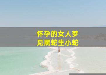 怀孕的女人梦见黑蛇生小蛇