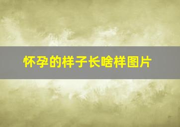 怀孕的样子长啥样图片