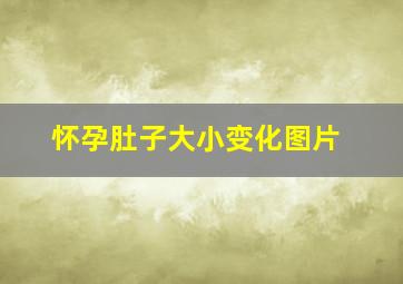 怀孕肚子大小变化图片